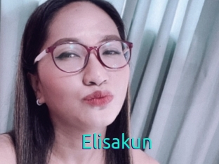 Elisakun