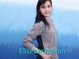 Elisebarberton