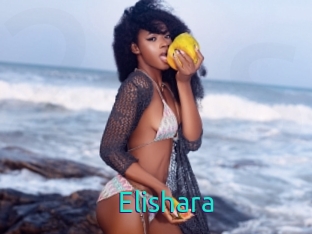 Elishara