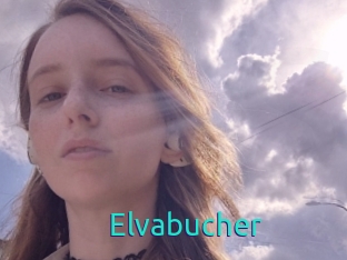 Elvabucher