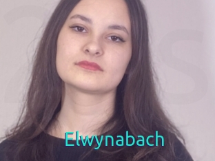 Elwynabach