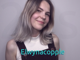 Elwynacopple