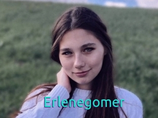 Erlenegomer