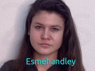 Esmehandley