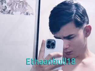 Ethaanbull18