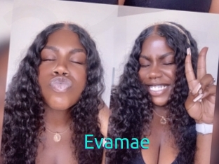 Evamae