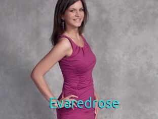 Evaredrose