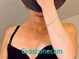 Evastonecam