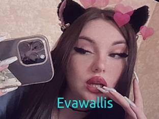 Evawallis