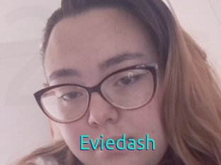 Eviedash