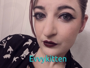 Evvykitten