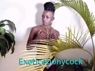 Exoticebonycock