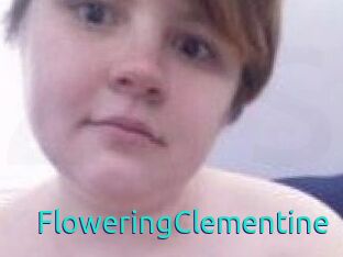 FloweringClementine