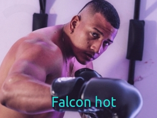 Falcon_hot