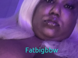 Fatbigbbw