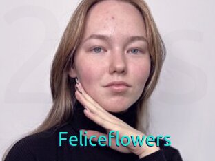 Feliceflowers