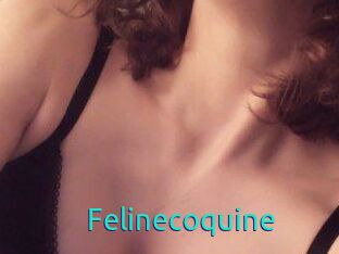 Felinecoquine