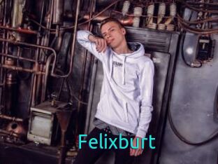 Felixburt