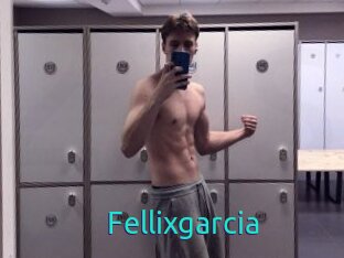 Fellixgarcia