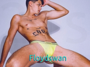 Floydswan