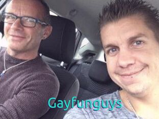 Gayfunguys