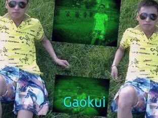 Gaokui