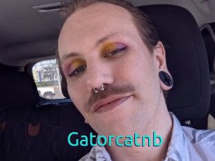 Gatorcatnb