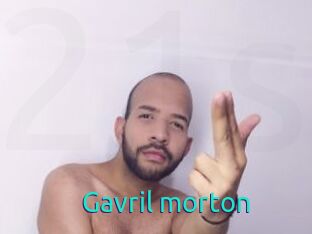 Gavril_morton