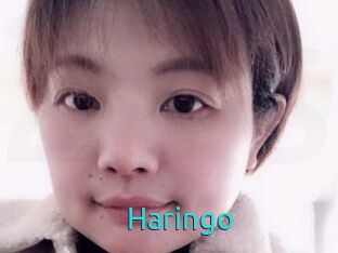 Haringo