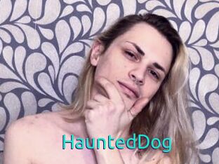HauntedDog 21 sextury Link