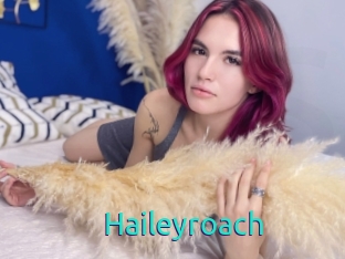 Haileyroach