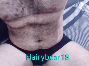 Hairybear18