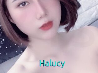 Halucy