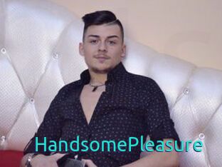 HandsomePleasure