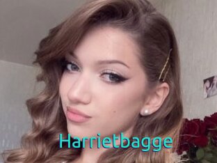 Harrietbagge