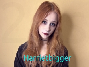 Harrietbigger