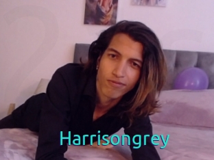 Harrisongrey