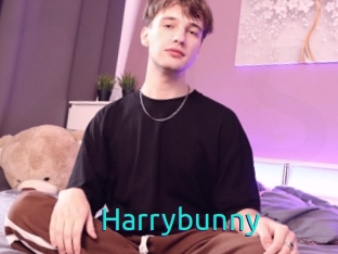 Harrybunny