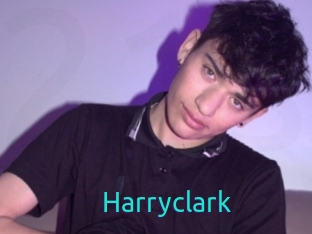 harryclark 21 sextury Link