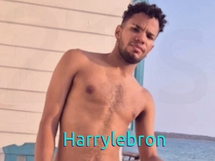 Harrylebron