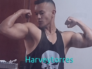 harveytorres 21 sextury Link