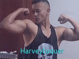 Harveytuquer