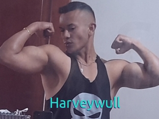 Harveywull