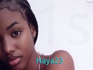 Haya23