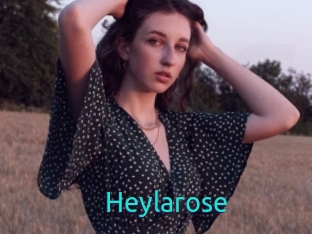 Heylarose