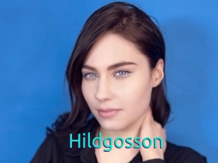 Hildgosson