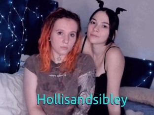 Hollisandsibley