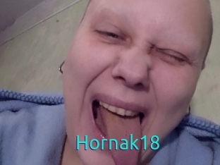 Hornak18