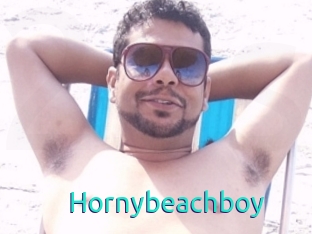 Hornybeachboy