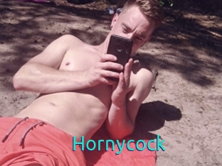 Hornycock